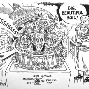 Democrats Are Boiling Mad-Original ART Collectors Item