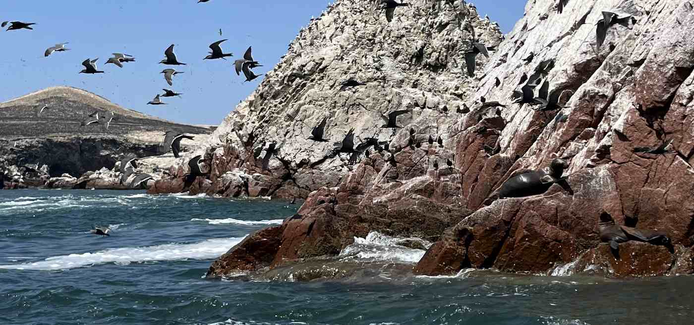 Bird Droppings Powered the Rise of this Little-Known Coastal Kingdom, Archaeologists Find