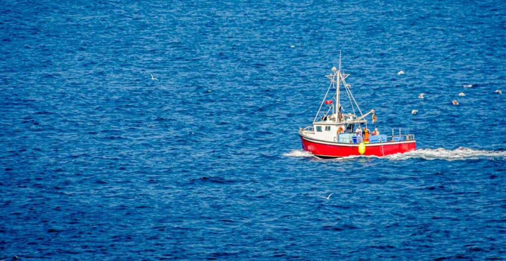 Over 90 California Fish Stocks Almost Totally Rebuilt Thanks to Trawling Ban, Other Measures