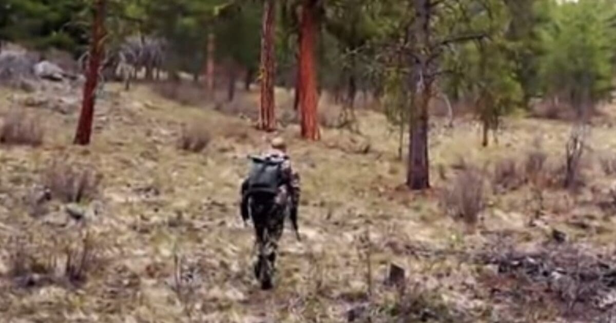 Hunting, Fishing Could Face Ban Under Controversial Petition In Blue State