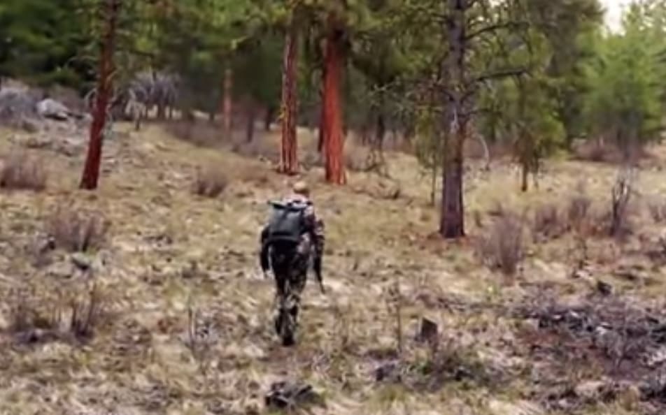 Hunting, Fishing Could Face Ban Under Controversial Petition In Blue State