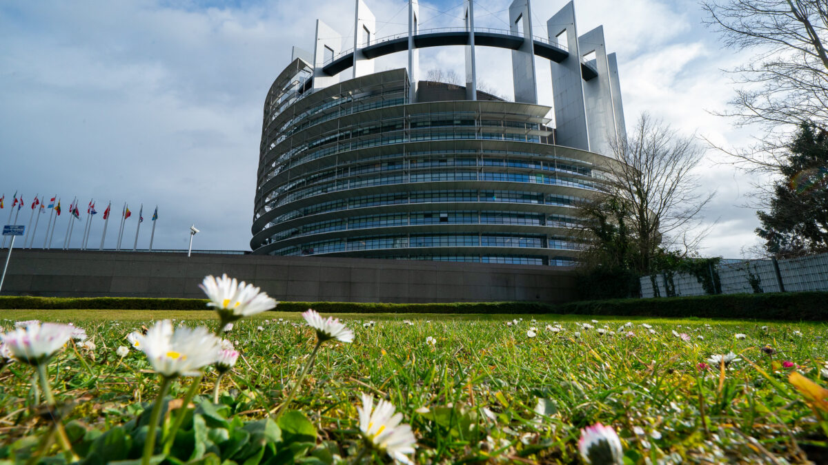 EU Parliament Says Men Are Women And Anyone Can Get Pregnant