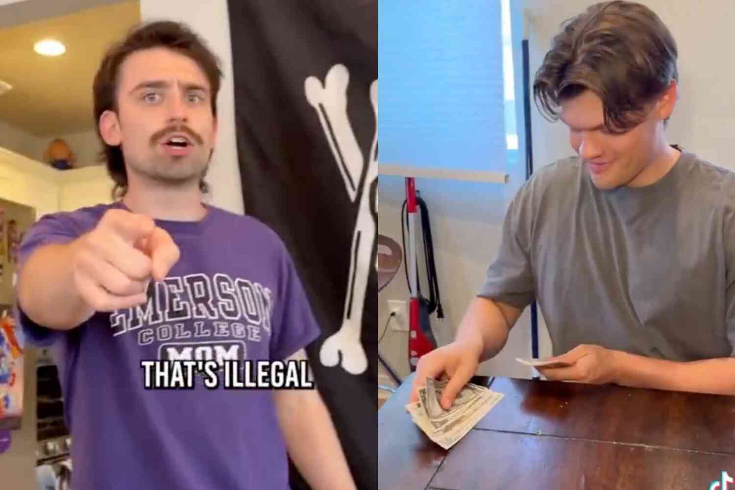 I found the one video that perfectly explains Congress