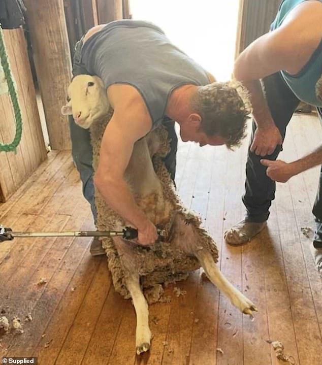 Australians were shocked by how little he gets paid for work that supports the community