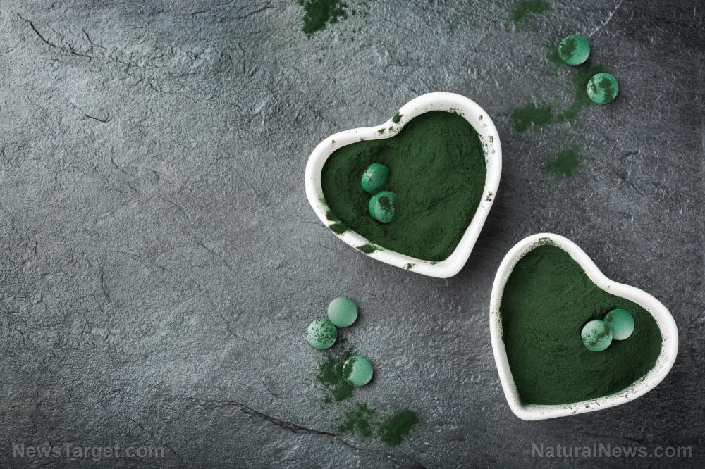 The microscopic marvel: Science validates chlorellaâ&amp;#128;&amp;#153;s ancient superfood status