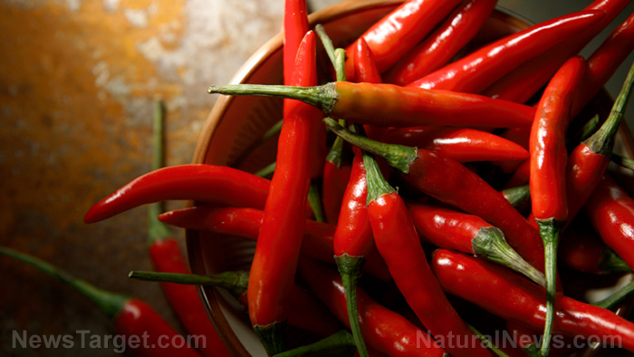 The fiery truth: How chili peppers reshape your gut and guard your heart