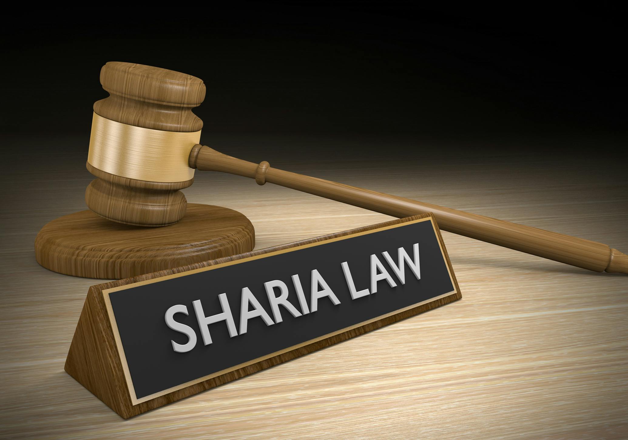WATCH: 12-Year-Old Shreds School Board After Sharia Pamphlets Handed Out
