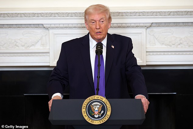 President Donald Trump's controversial moves since retaking the White House, including his hardline immigration crackdown and threats to annex Greenland and Canada, have been blamed by some for a dip in US tourism