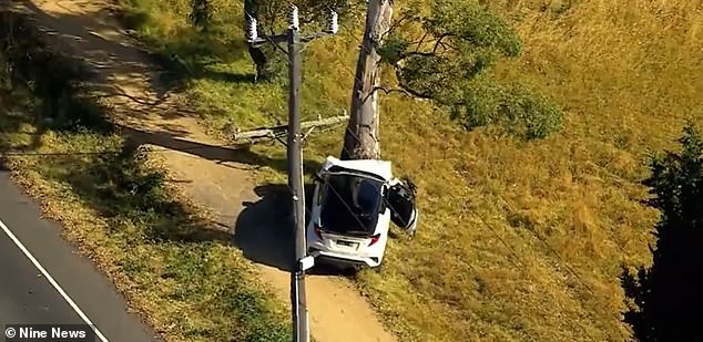 The car lost control and slammed into a tree after the collision