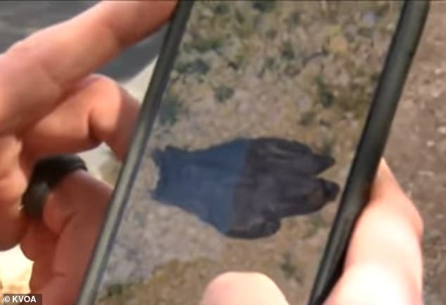 The glove the couple found is seen through the camera of a phone