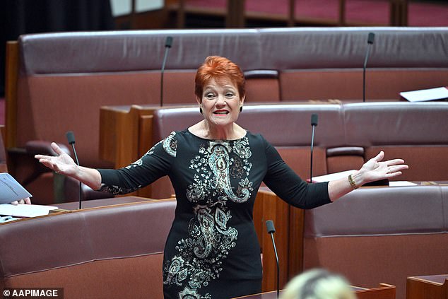 Pauline Hanson has dismissed widespread criticism after she claimed parts of Australia have become places 'people can't go to' without feeling unsafe