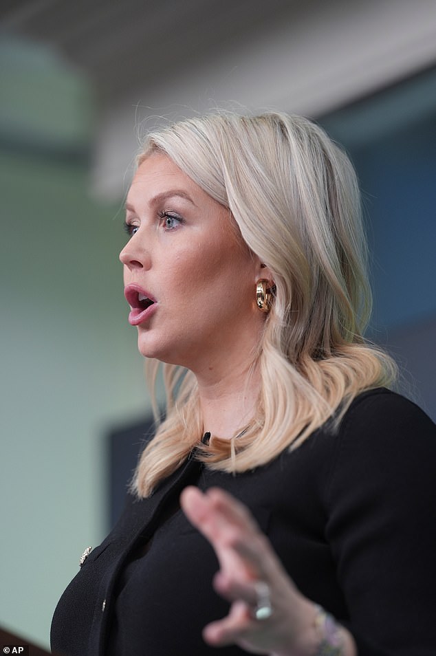 Furious Karoline Leavitt blames DEMOCRATS for Trump's 'third assassination attempt'