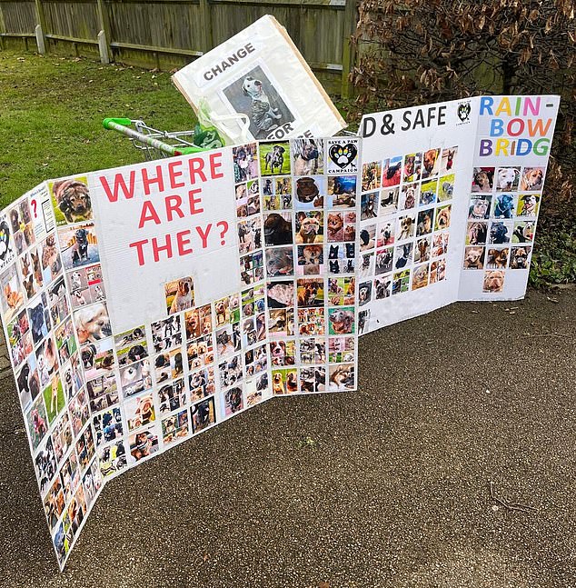 Many pets which haven't been found are feared dead