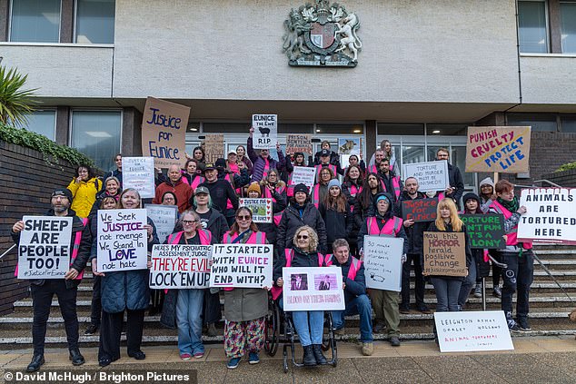 The case has triggered 'significant public backlash' and protesters lined the street in front of Hove Trial Centre ahead of the sentencing.