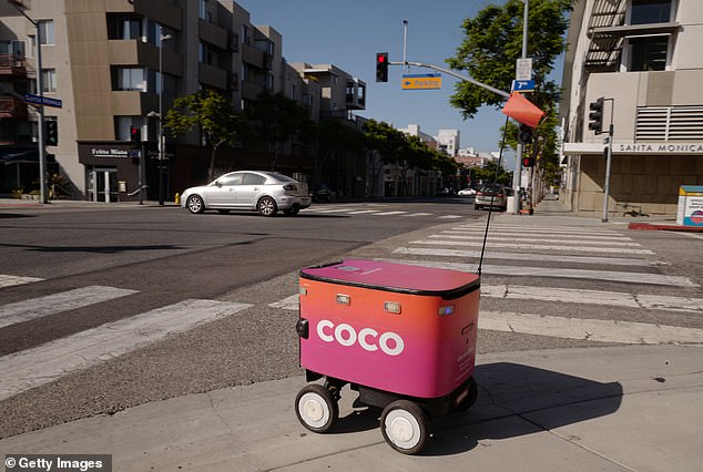 An automated Coco delivery robot (pictured, stock image) was responsible for the damage to Reel's garden