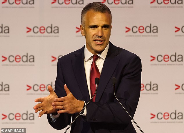 As 'wipe your bum' comment from South Australian premier Peter Malinaukas divides Australia, here's what I think was SO wrong about sneering immigration remark: PETER VAN ONSELEN