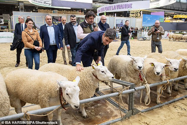 Vast showrooms exhibit the best French food and wine, along with more than 4,000 farm animals, tractors and other farming equipment. (pictured is Gabriel Attal, Secretary General of the Renaissance Party and President of the Ensemble pour la République - EPR group)