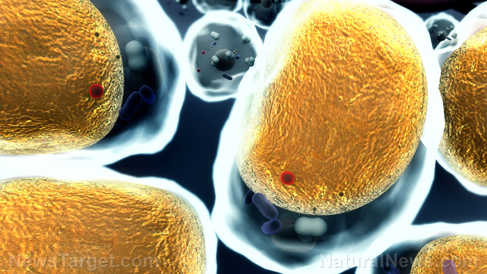 “A.G.E.S. Fall Conference” on BrightU: Rethinking cholesterol as the body’s emergency responder, not the arsonist