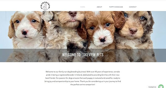Lakeview Pets is a ‘Registered Breeder’ on the Department of Agriculture list of approved breeders. They are the puppy farm that sold Daisy, who died with 48 hours