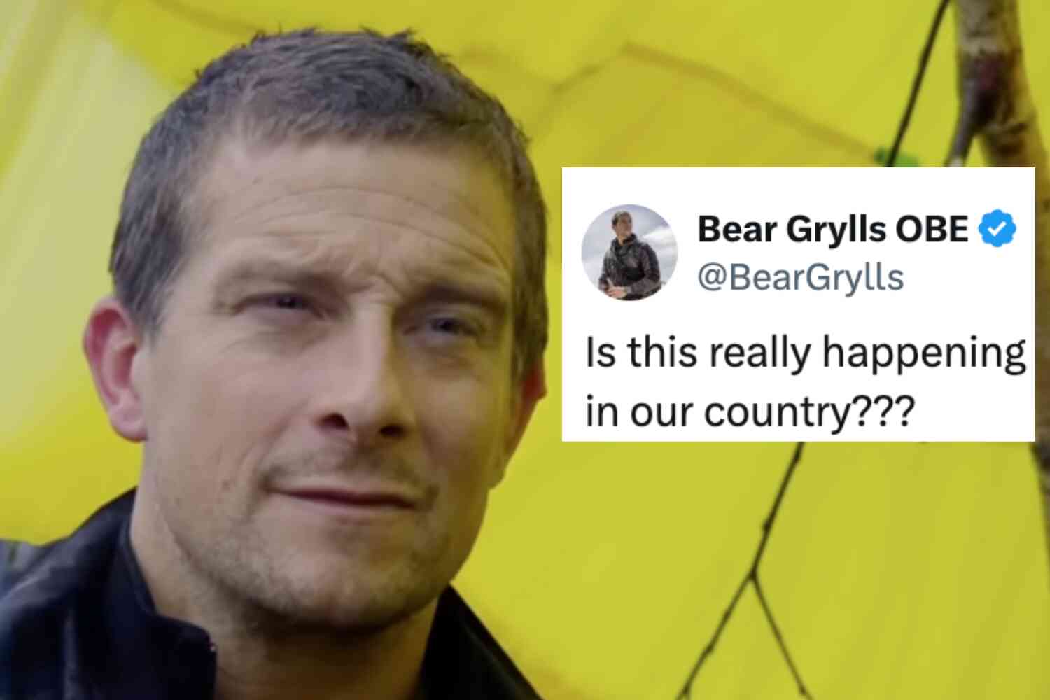 Wake up, lads. Bear Grylls just became aware of the rape-gang inquiry.