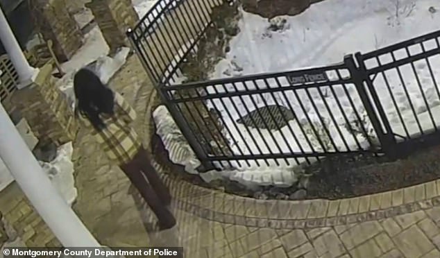 Police said the person seen in the video 'could be male or female' with no clear description of the suspect's gender or race.