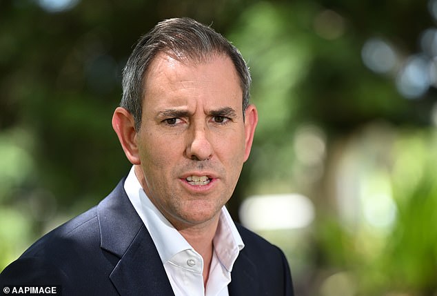 Treasurer Jim Chalmers (pictured) has rejected claims that higher public spending is pushing inflation higher in Australia