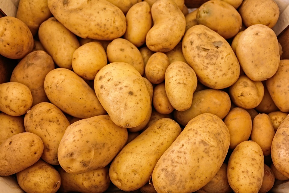 From stomach soother to health food: Re-evaluating the common potato