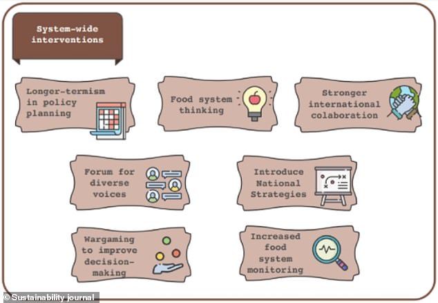 The system-wide interventions which experts identified as part of the top 20 interventions