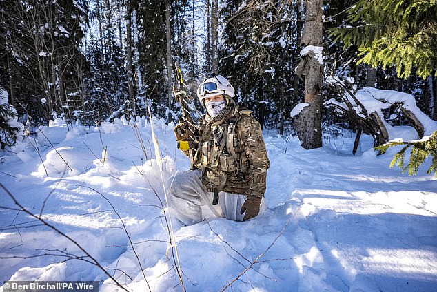 Captain Hamish Mackellar, of 2nd Battalion The Royal Anglian Regiment, looks for enemy troops on exercise in Estonia