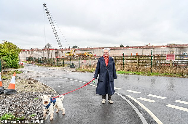 Felicitas Freeman, a 67-year-old retired company director and economist, said her life had been 'destroyed' by the HS2 project