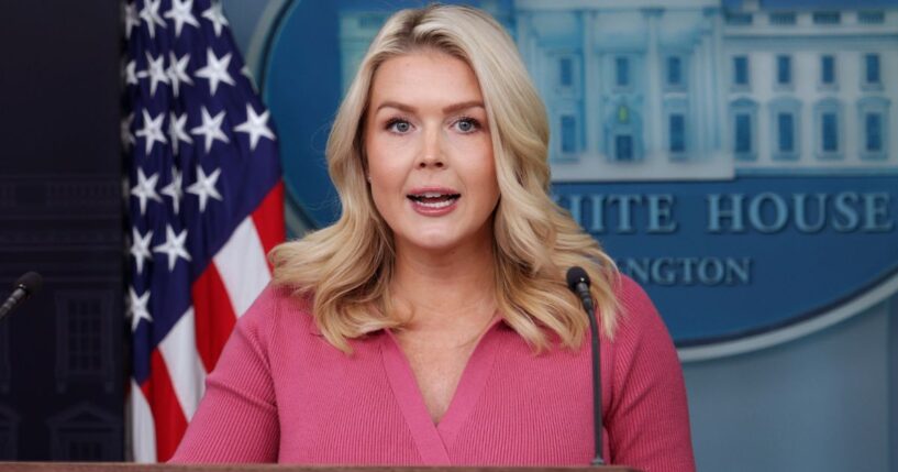 Karoline Leavitt Drops List of Policies Dems Wouldn't Stand For, Including Voter ID and Fewer Murders