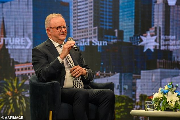 Albanese (pictured) said Pauline Hanson was 'divisive' and her supporters were 'frustrated'