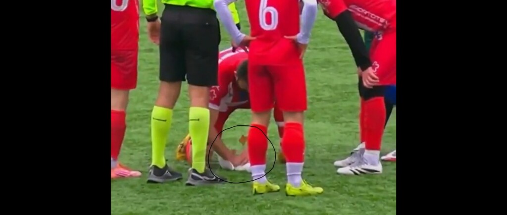 After Soccer Ball Slams into Seagull, Watch a Player Use CPR to Gently Revive it (WATCH)