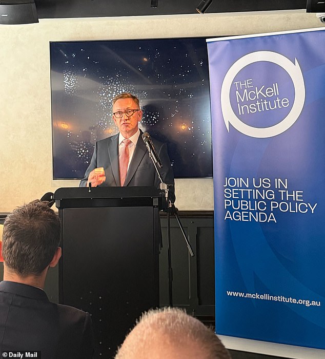 Labor firebrand Julian Hill argued that One Nation had been able to 'seize' Australia's national symbols and institutions because progressives have spent years retreating from patriotism