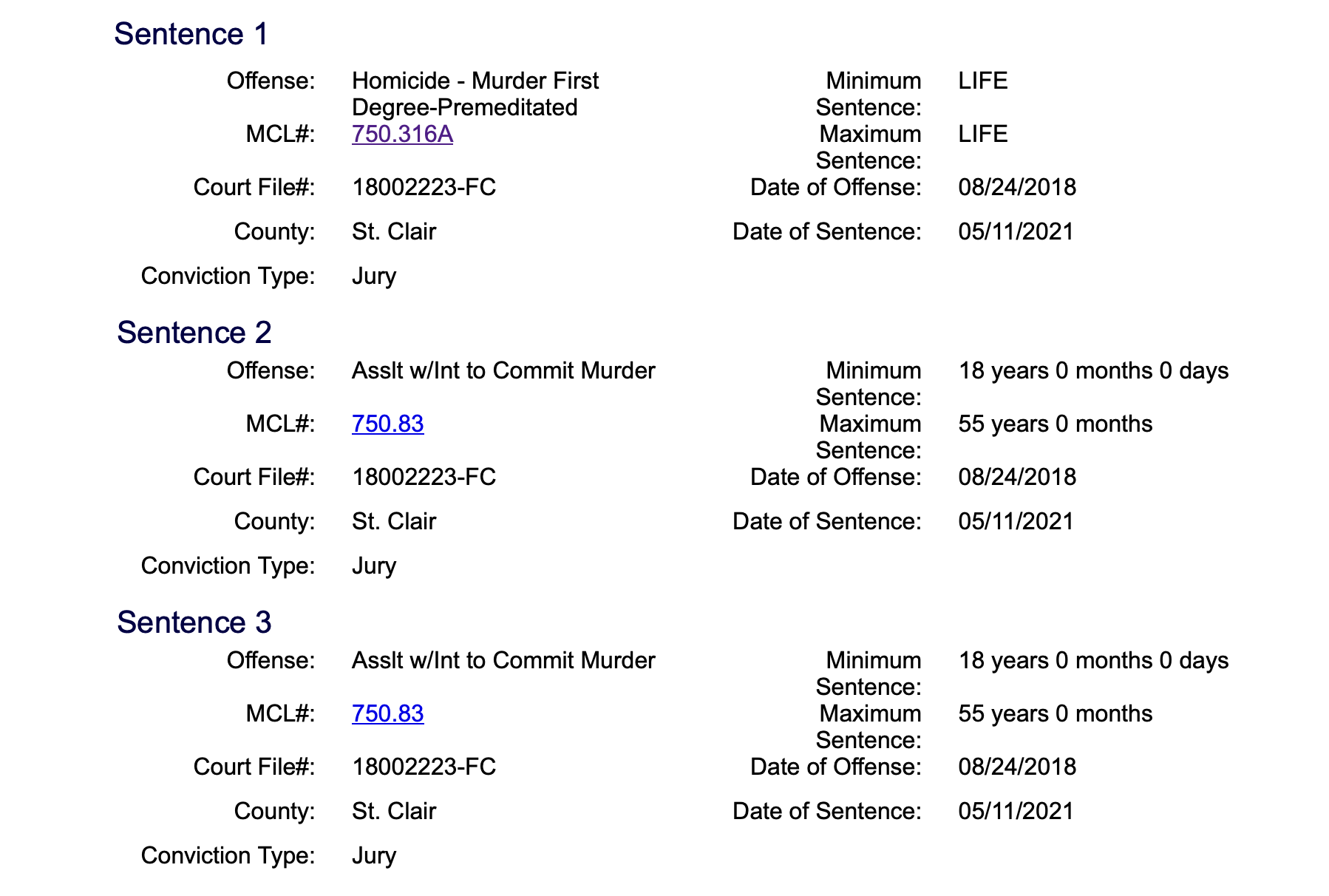 Court document detailing sentences for homicide and assault charges in St. Clair County, including minimum and maximum sentences and conviction types.