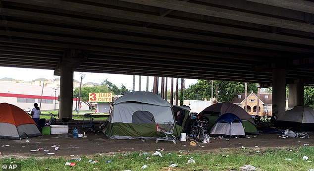 The superhub is a part of a broader initiative to end homelessness in the city. A proposal estimates that the total cost of the three-year plan will be $168 million. Homeless encampments in Houston are pictured above in 2017