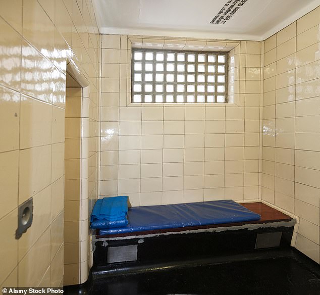 Fewer criminals would see the inside of a jail cell under the Green Party ¿s plans for power ¿ which instead encourage crooks to ¿make amends¿ to their victims