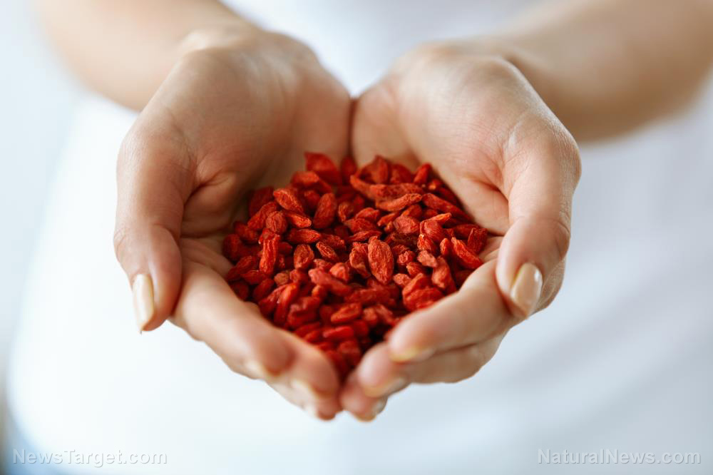 Goji berries show promise in preventing age-related vision loss, study finds