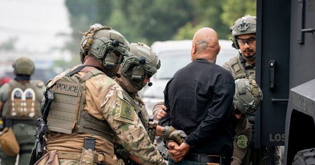 FBN's Brenberg: Dems Should Let ICE in Jails Where It's Easy if They Think Agents Lack Training