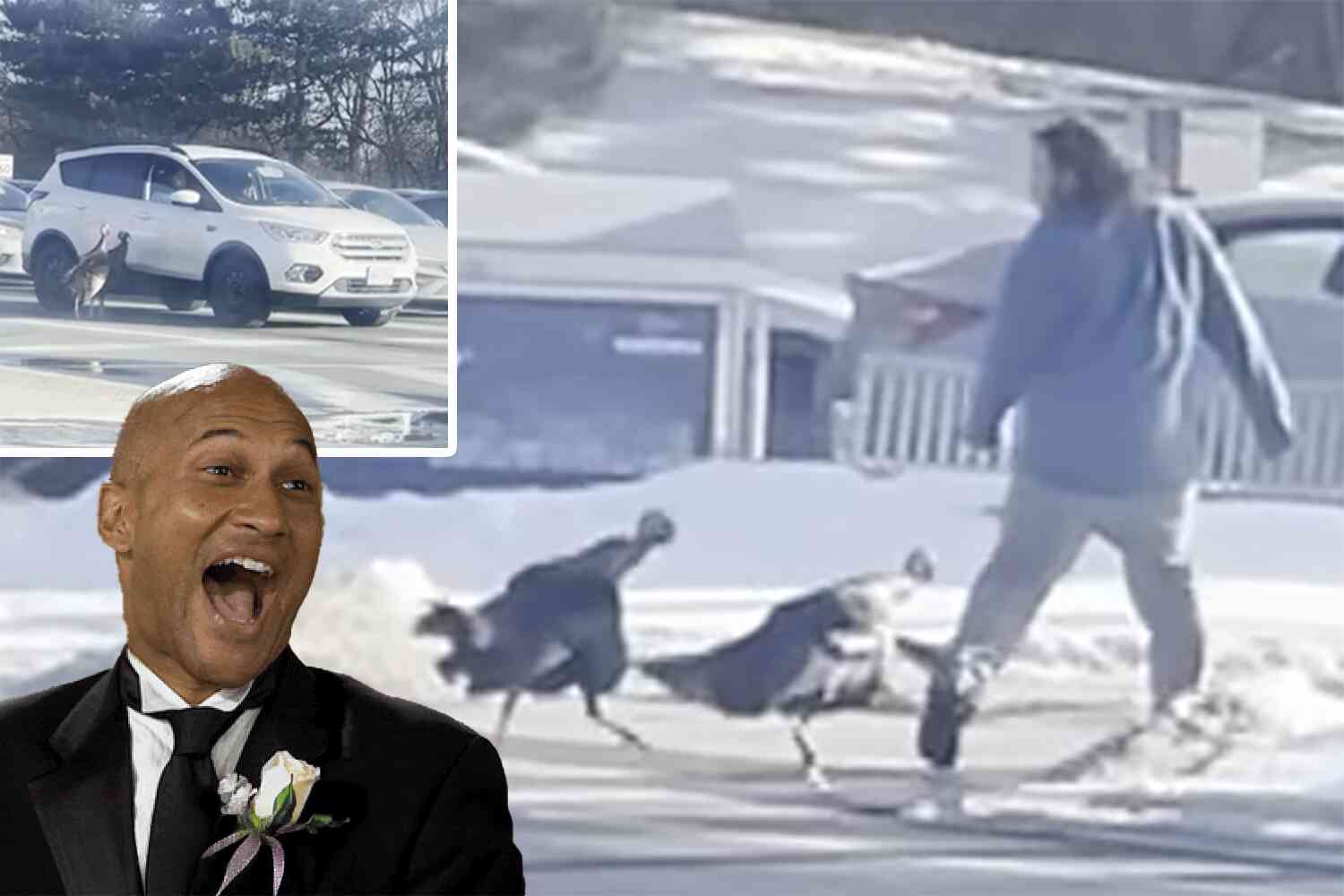 Watch this Canadian man escape turkeys by hopping in a stranger's car
