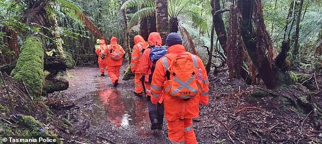 The breakthrough comes two months after a privately funded search for Celine resumed