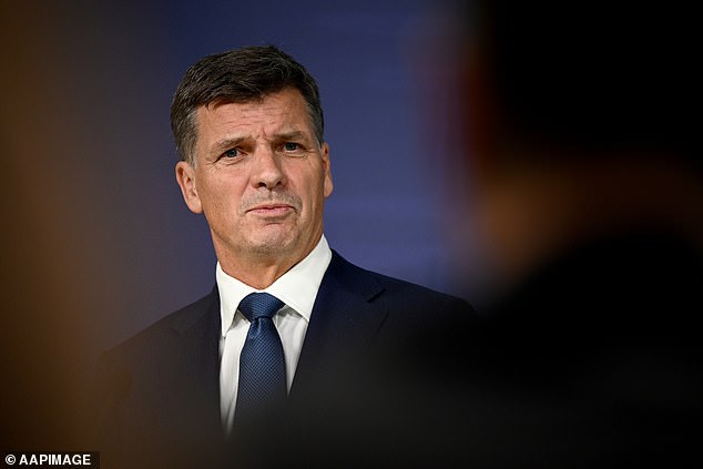 Ley's resignation included a thinly veiled swipe at successor Angus Taylor (pictured)