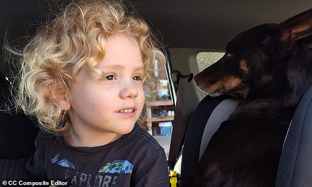 Powerful hidden message in Gus Lamont's parents' statement: Their agony is clear - but something else is being said here, writes KARLEIGH SMITH