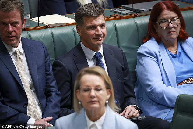 Angus Taylor replaced Sussan Ley as Opposition Leader a fortnight ago after months of party in-fighting