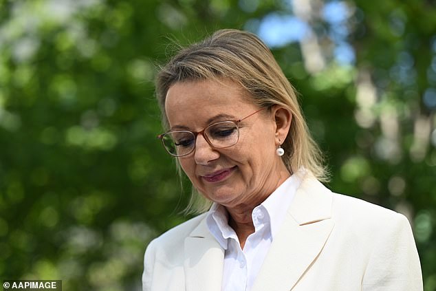 Sussan Ley officially resigns from Parliament - and takes a swipe at new Liberal leader Angus Taylor