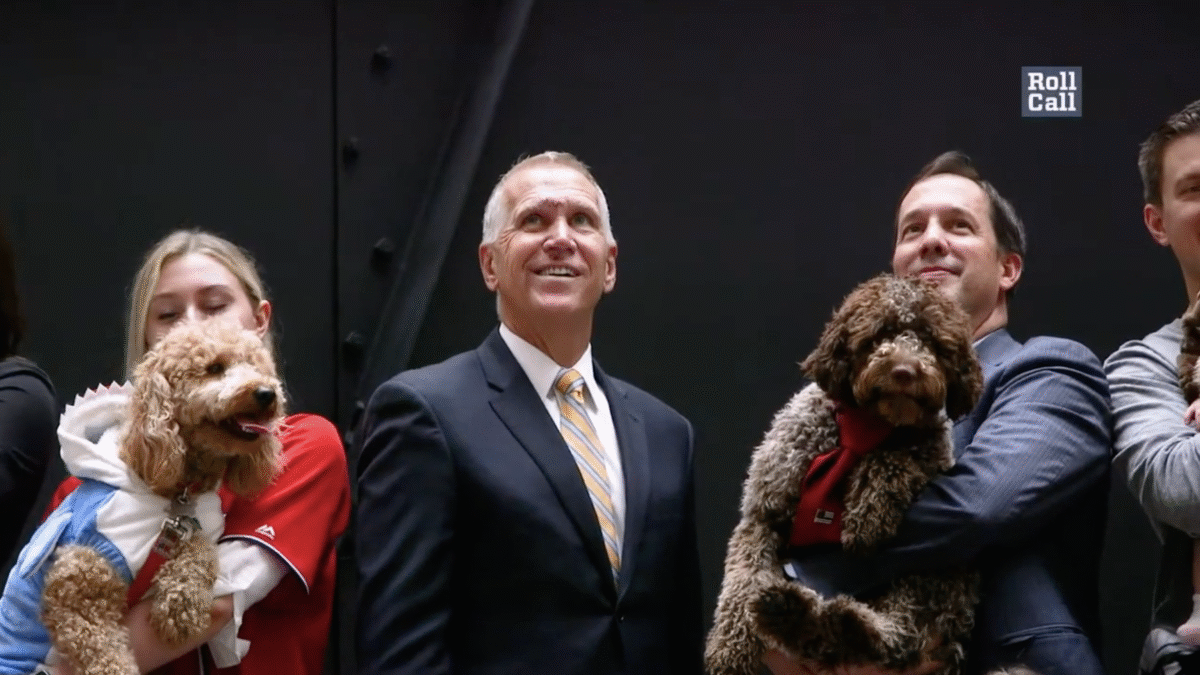 This Is Why We Can’t Have Nice Things: The Senate Goes To The Dogs