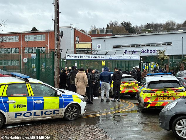 Violent mass school fight which left teacher in hospital and injured staff was caused by 'community tensions'