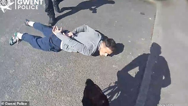 Pulled spent a week at large and was eventually discovered hiding in a countryside farmhouse outside Newport, south Wales