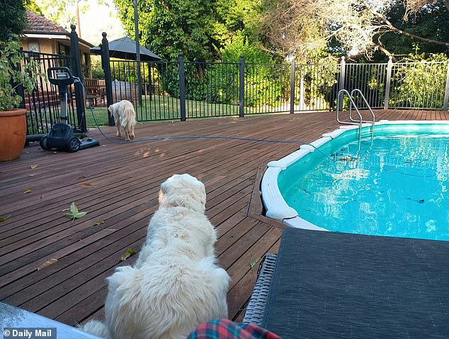 I rent my spacious home (pictured) in Perth out for a fraction of what a similarly sized house would command in rent in Sydney