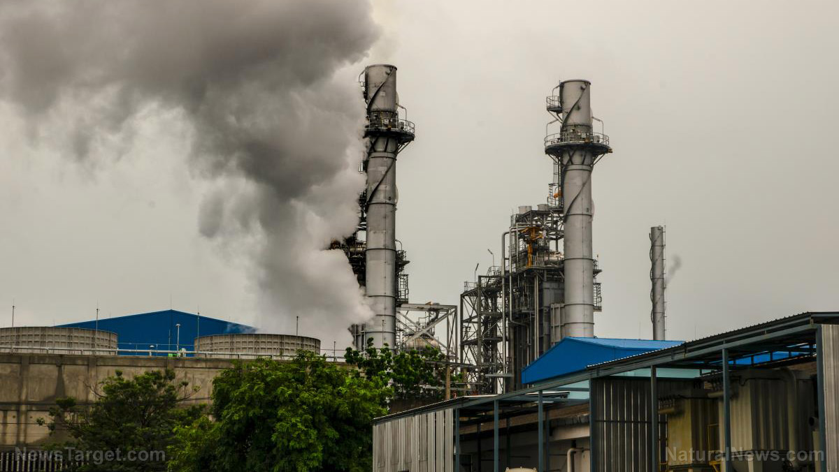 Legacy of a meltdown: Landmark study confirms Chernobyl radiation altered DNA of workers’ children